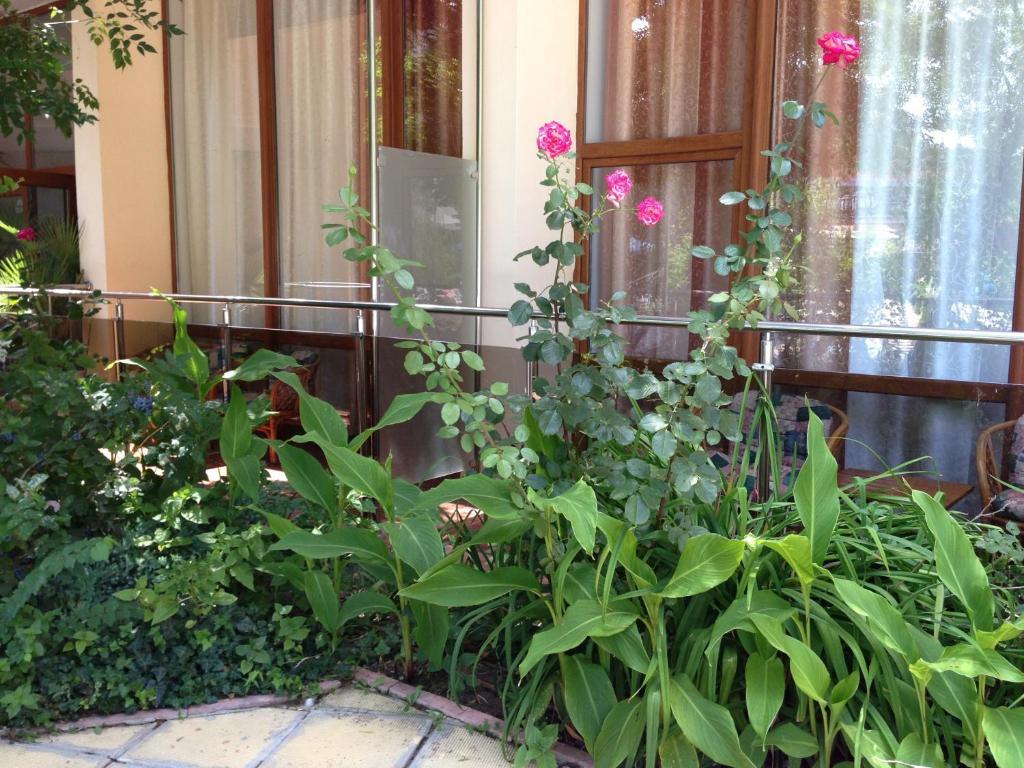 Jupiter Hotel Sunny Beach Cameră foto